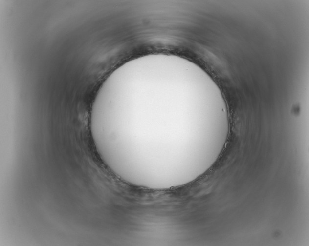 X0000089861061200707262123