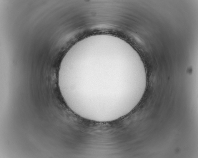 X0000089861062200707262123