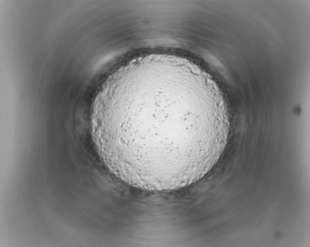 X0000089861063200707262123