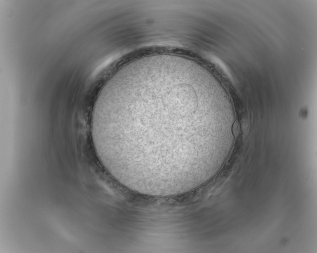 X0000089861064200707262123