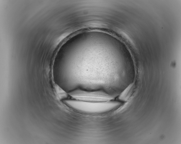 X0000089861065200707262123
