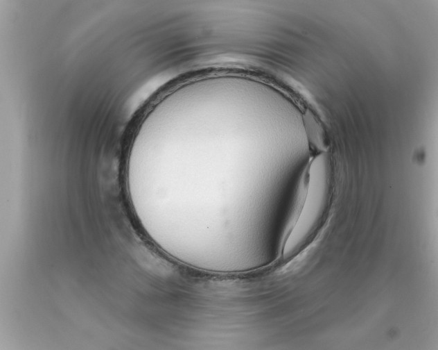 X0000089861066200707262123