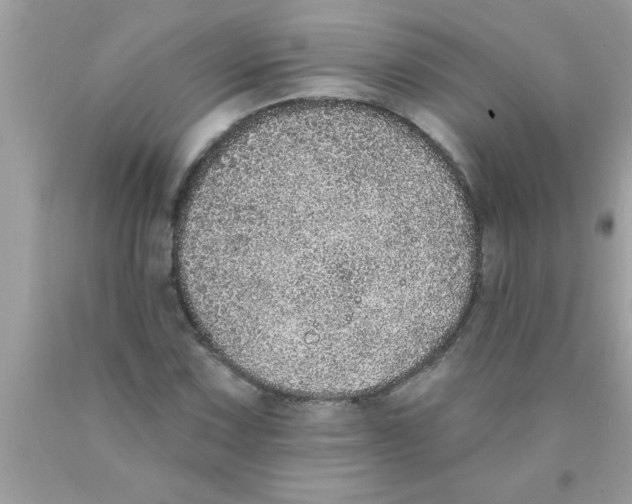 X0000089861067200707262123