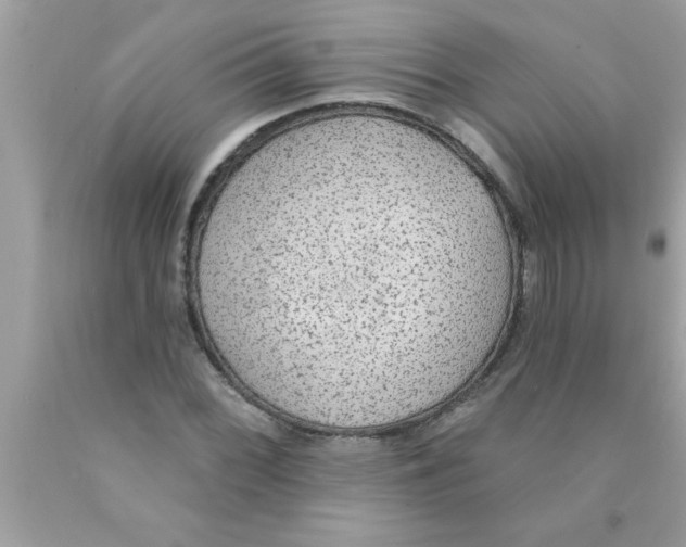 X0000089861068200707262123