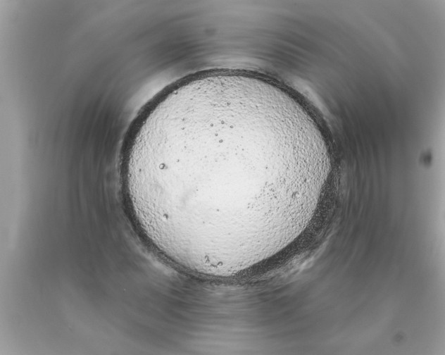 X0000089861071200707262123