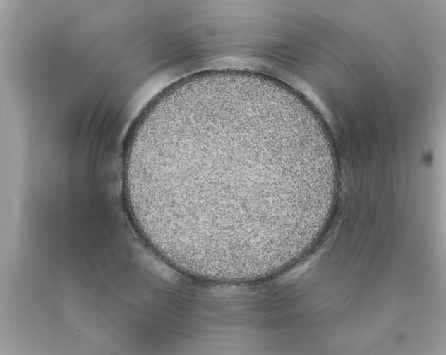 X0000089861075200707262123