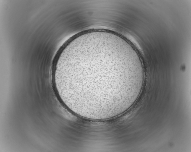 X0000089861076200707262123