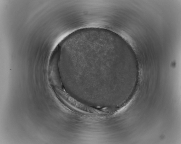 X0000089861077200707262123