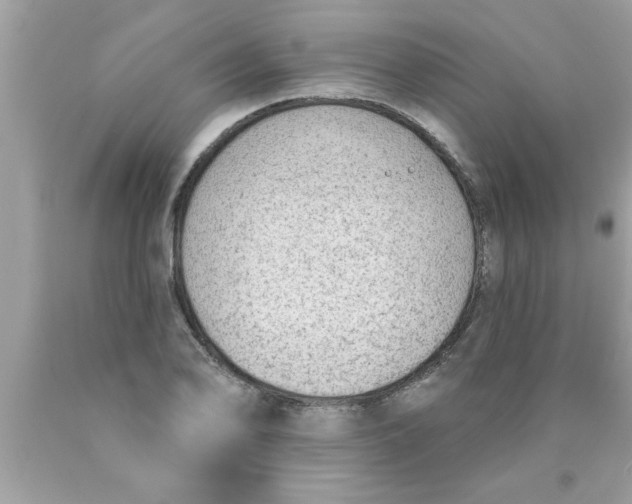 X0000089861078200707262123