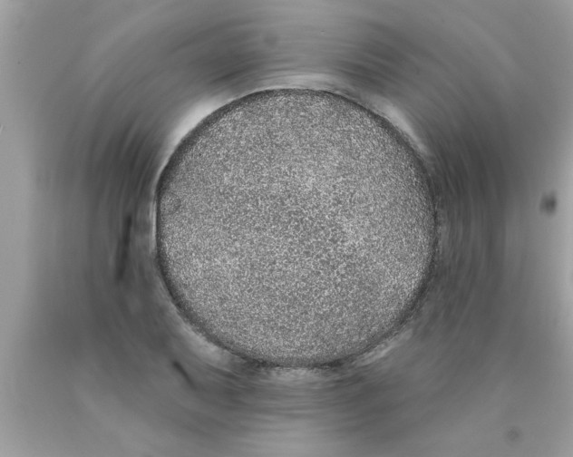 X0000089861079200707262123