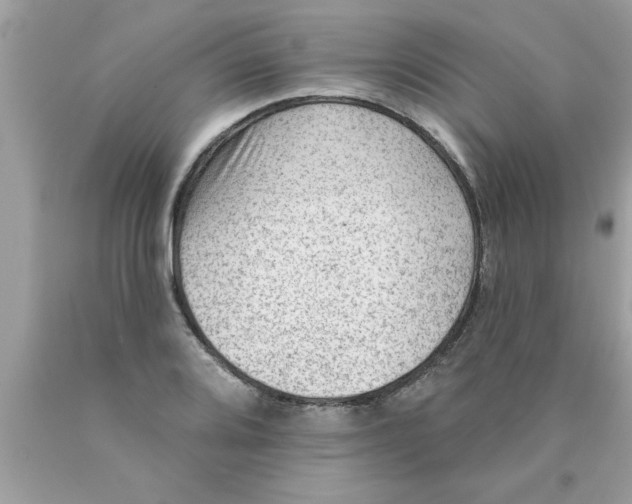 X0000089861080200707262123