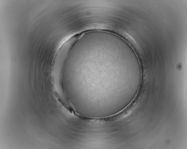 X0000089861081200707262123