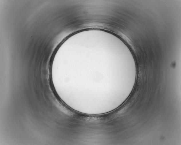 X0000089861082200707262123