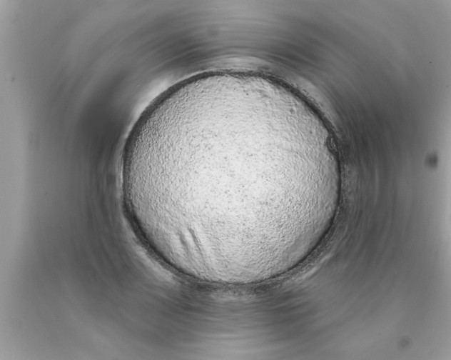 X0000089861083200707262123
