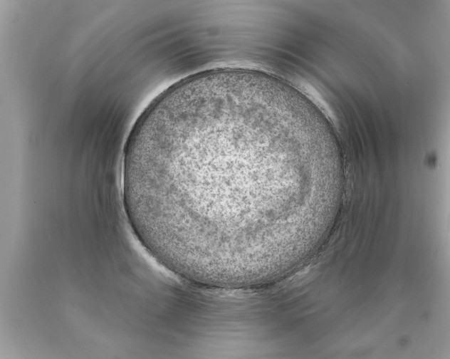 X0000089861084200707262123