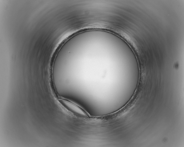 X0000089861085200707262123