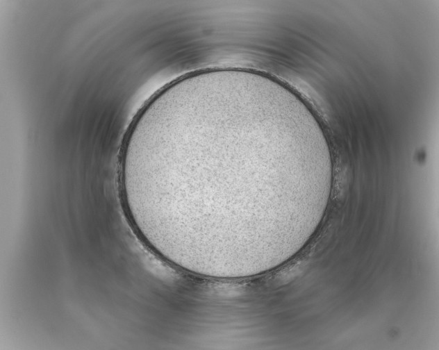 X0000089861086200707262123