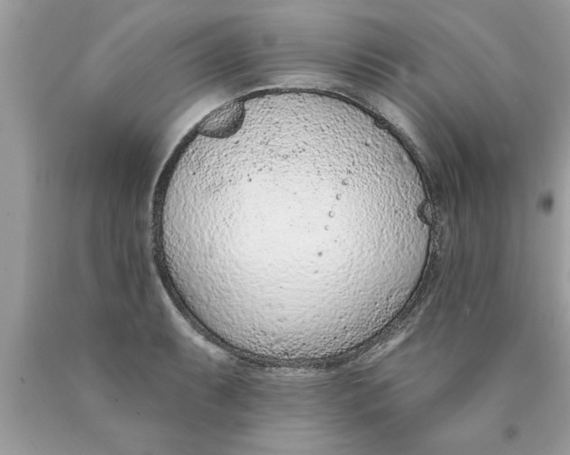 X0000089861087200707262123