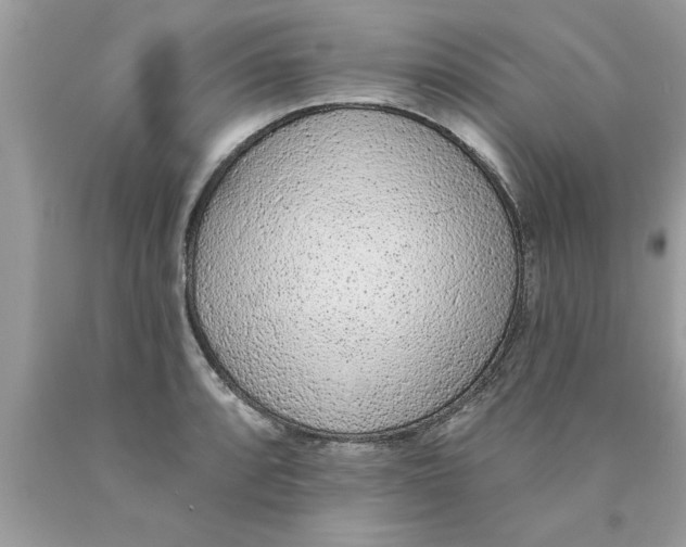 X0000089861088200707262123
