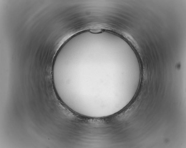 X0000089861089200707262123