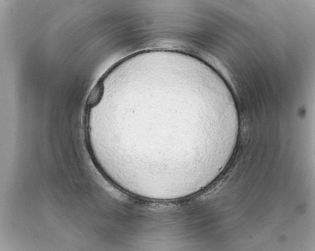 X0000089861091200707262123