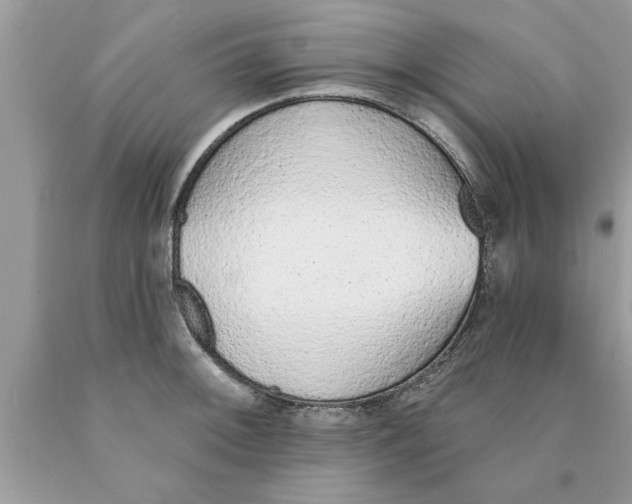 X0000089861092200707262123