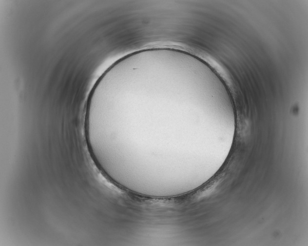 X0000089861102200707262122