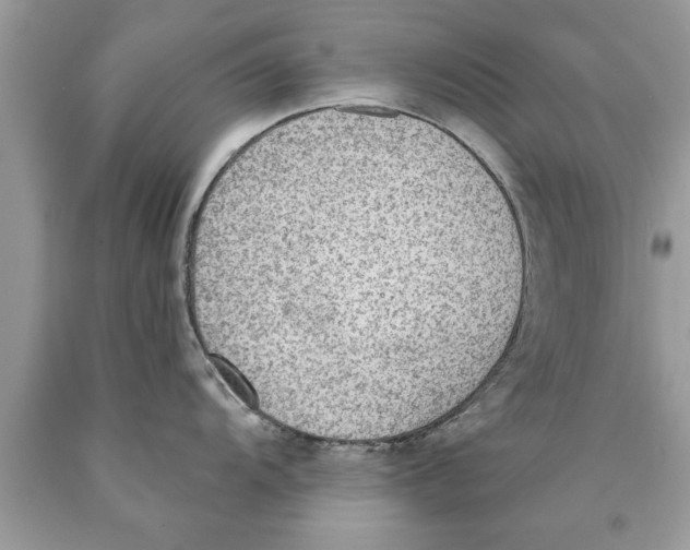 X0000089861104200707262122