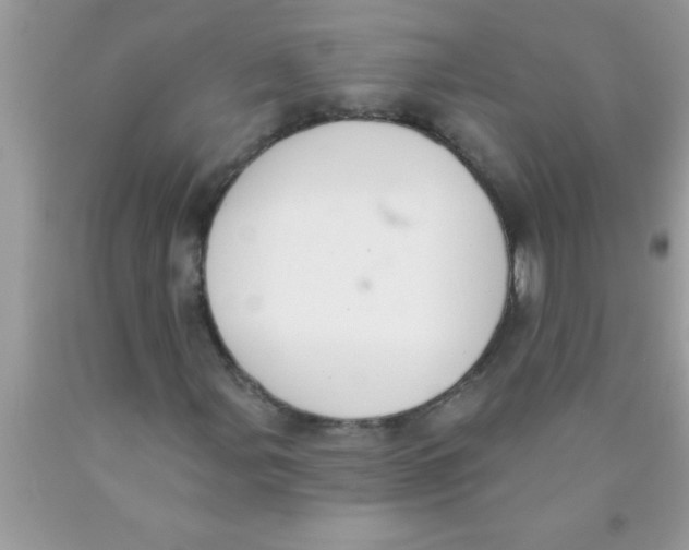 X0000089861107200707262122
