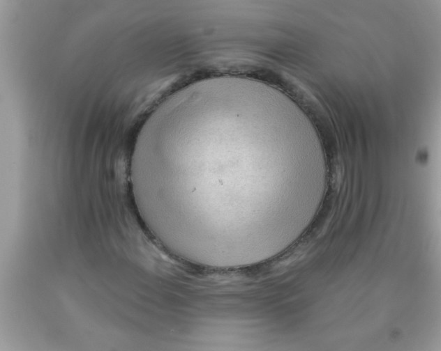 X0000089861108200707262122