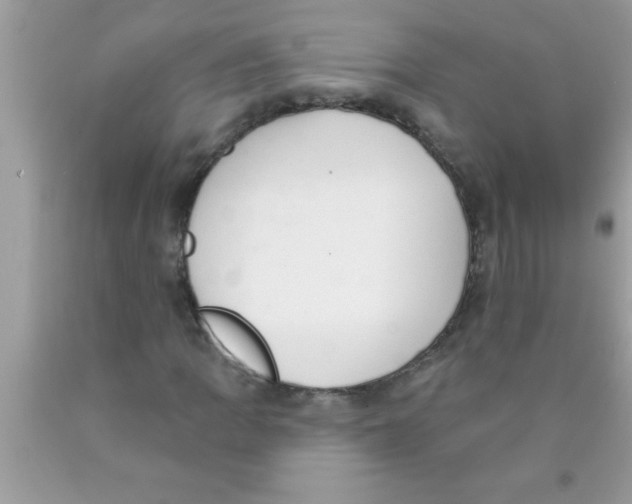 X0000089861109200707262122