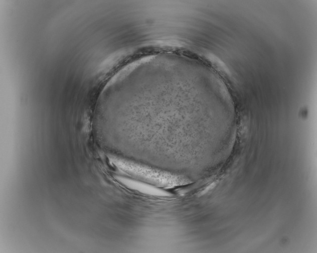 X0000089861110200707262122