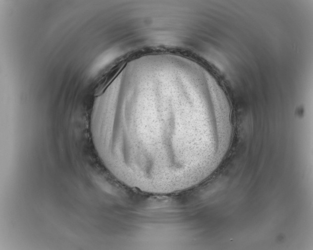 X0000089861112200707262122
