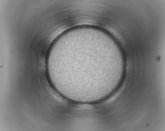 X0000089861113200707262122