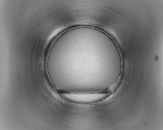 X0000089861114200707262122