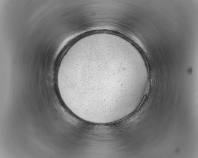 X0000089861116200707262122