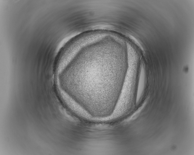 X0000089861117200707262122