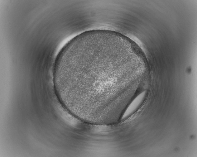 X0000089861120200707262122