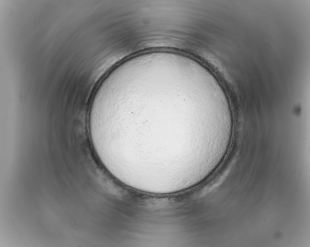 X0000089861121200707262122