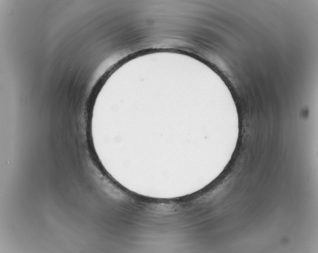 X0000089861122200707262122