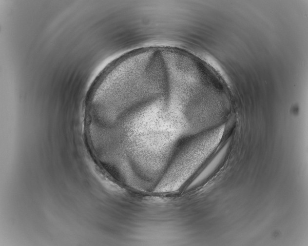 X0000089861124200707262122