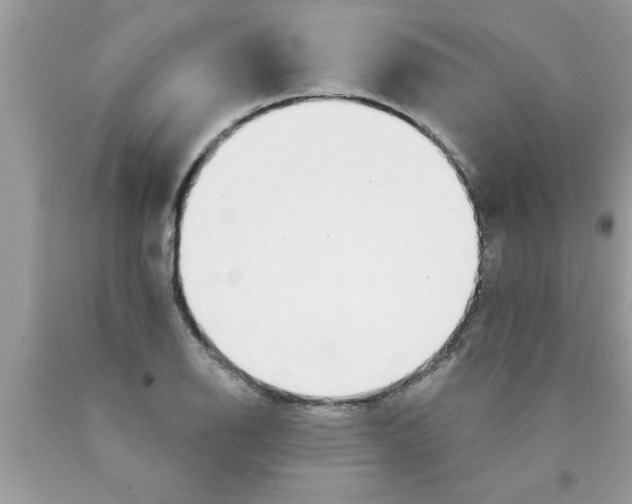 X0000089861126200707262122