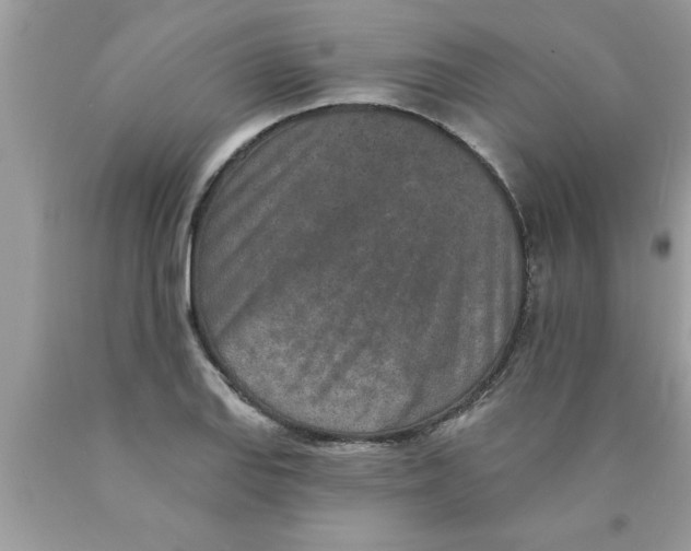 X0000089861127200707262122