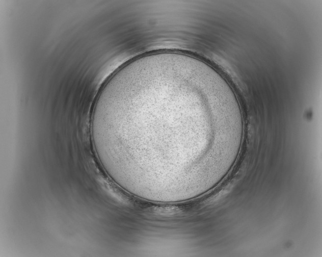X0000089861129200707262122