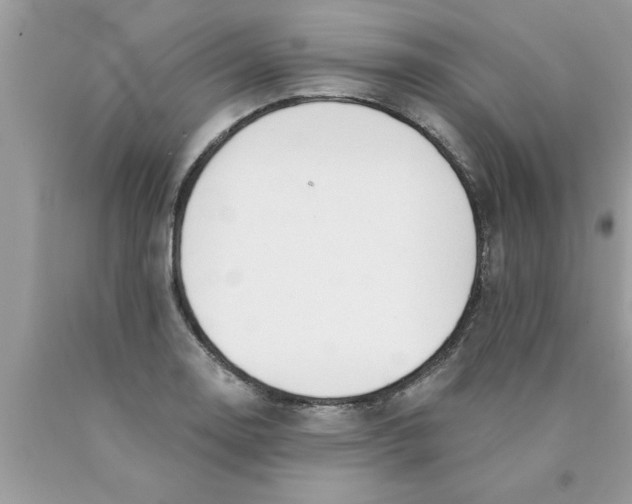 X0000089861130200707262122