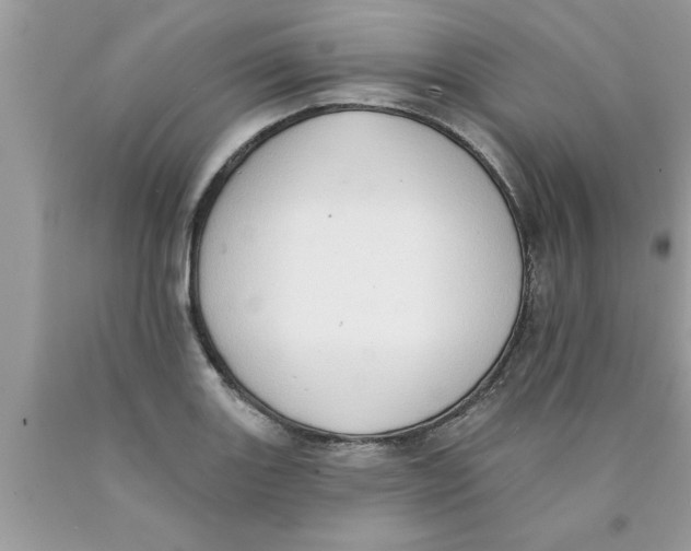 X0000089861131200707262122
