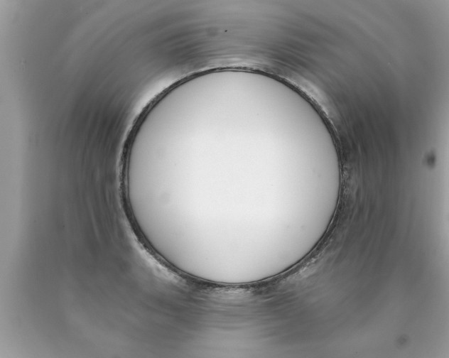 X0000089861135200707262122