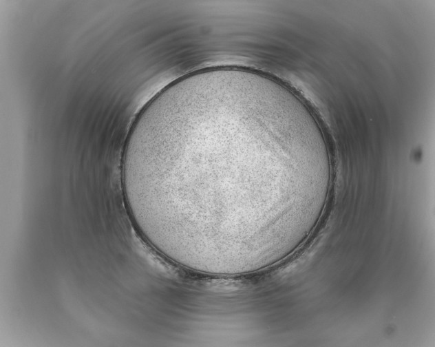 X0000089861137200707262122