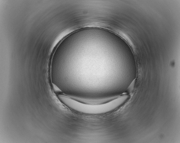 X0000089861138200707262122