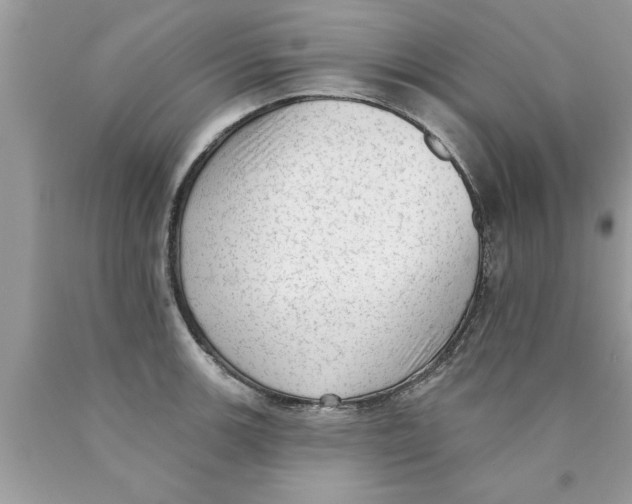 X0000089861139200707262122